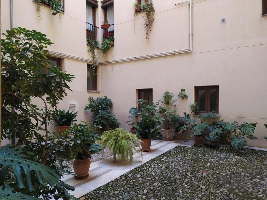 4 Balconies House, Central And Near The Alhambra グラナダ エクステリア 写真